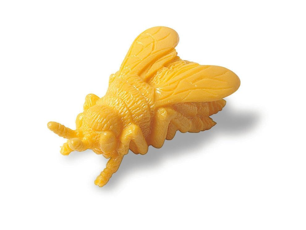 Insecten sorteerset