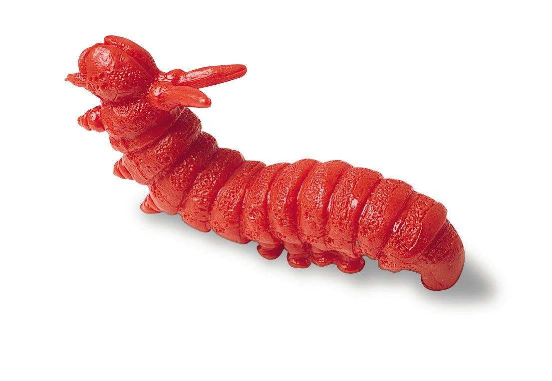 Insecten sorteerset