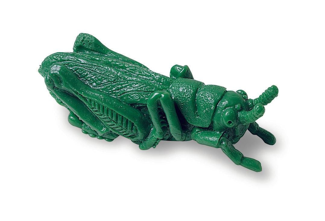 Insecten sorteerset