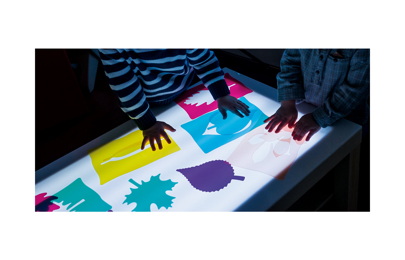 Transparante stencils - bladeren (6)