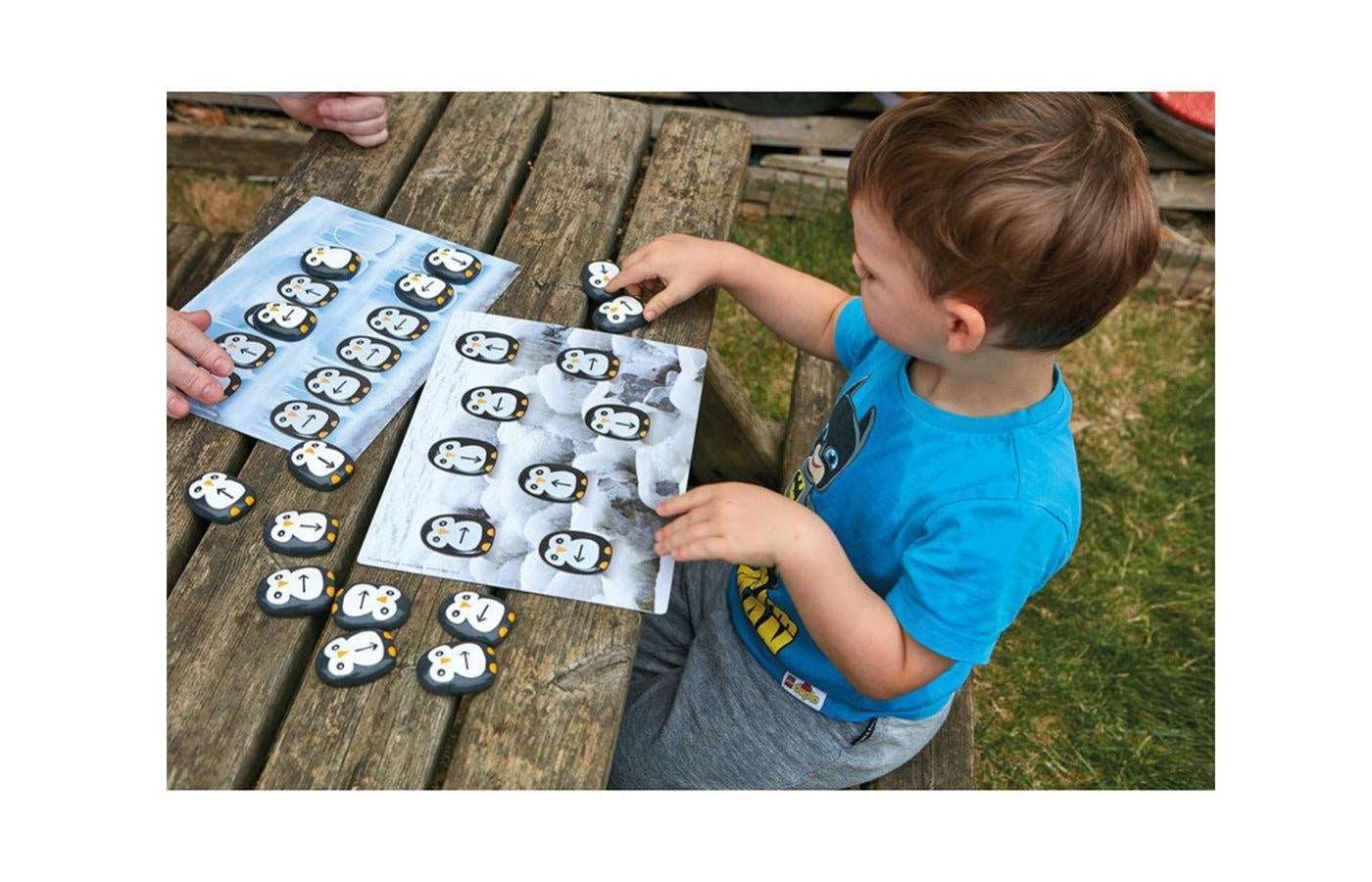 Activiteiten kaarten codeer pinguïn stenen
