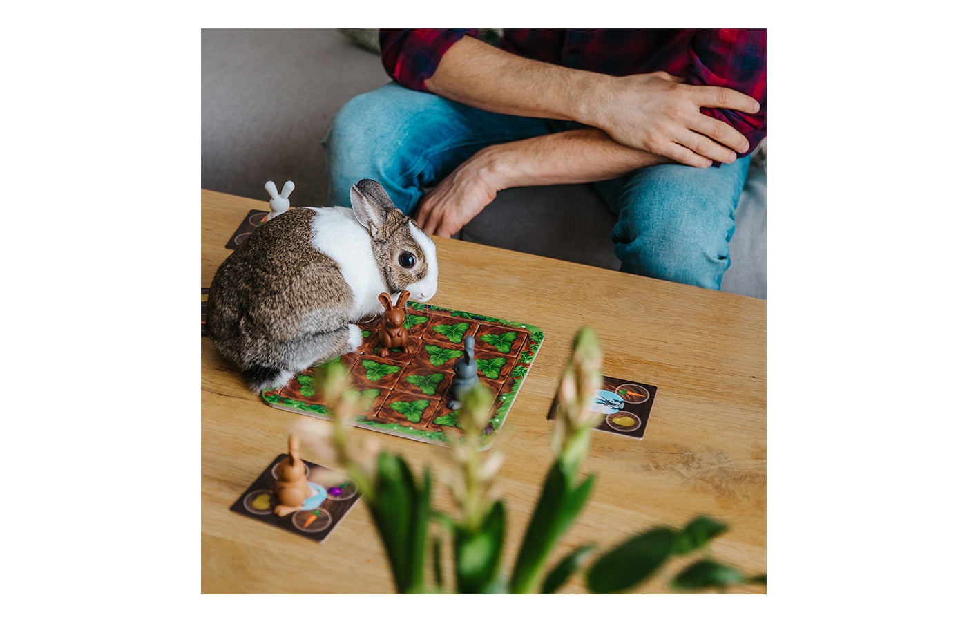 Grabbit (Multiplayer SmartGames)