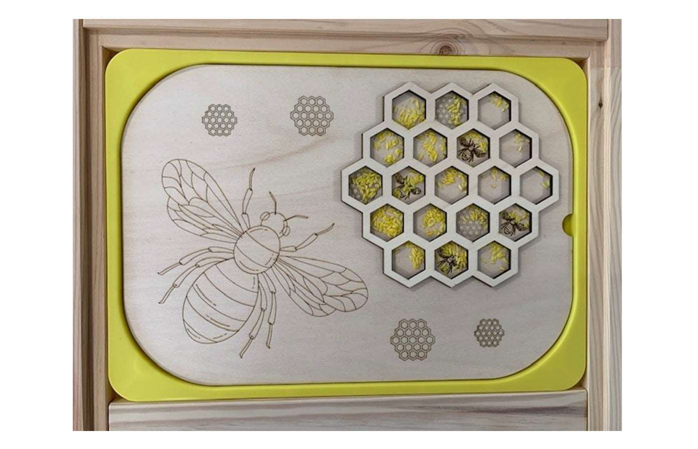 Bij en honingraat (3D)