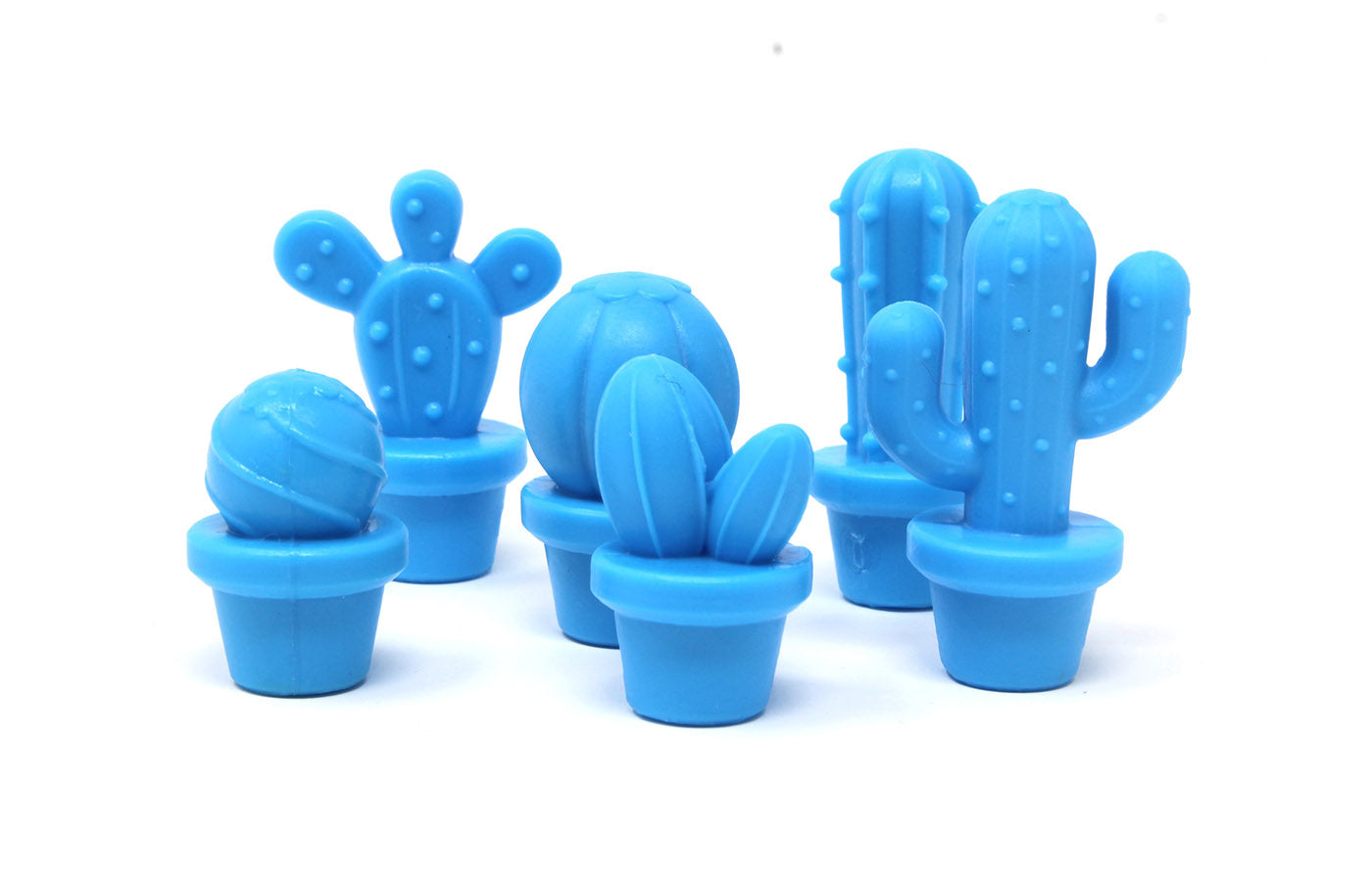 Cactus sorteerset
